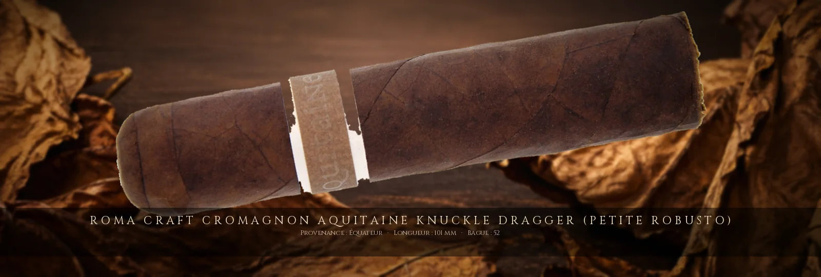 RoMa Craft CroMagnon Aquitaine Knuckle Dragger (Petite Robusto) — RoMa Craft — Équateur