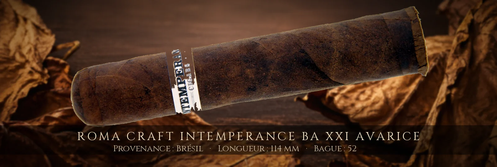 RoMa Craft Intemperance BA XXI Avarice — RoMa Craft — Brésil