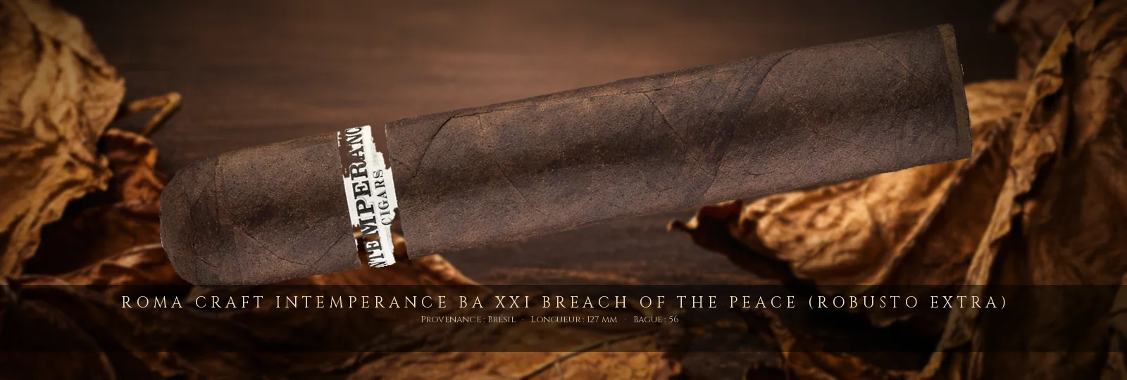 RoMa Craft Intemperance BA XXI Breach of the Peace (Robusto Extra) — RoMa Craft — Brésil