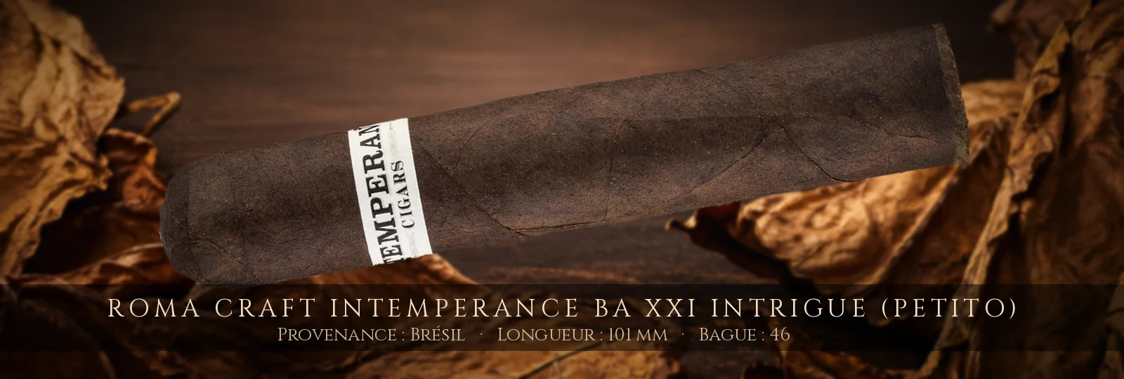 RoMa Craft Intemperance BA XXI Intrigue (Petito)