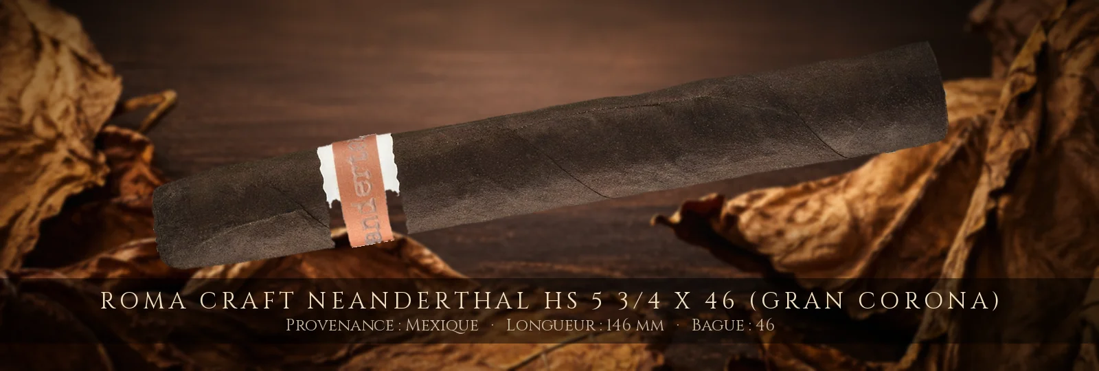 RoMa Craft Neanderthal HS 5 3/4 x 46 (Gran Corona) — RoMa Craft — Mexique