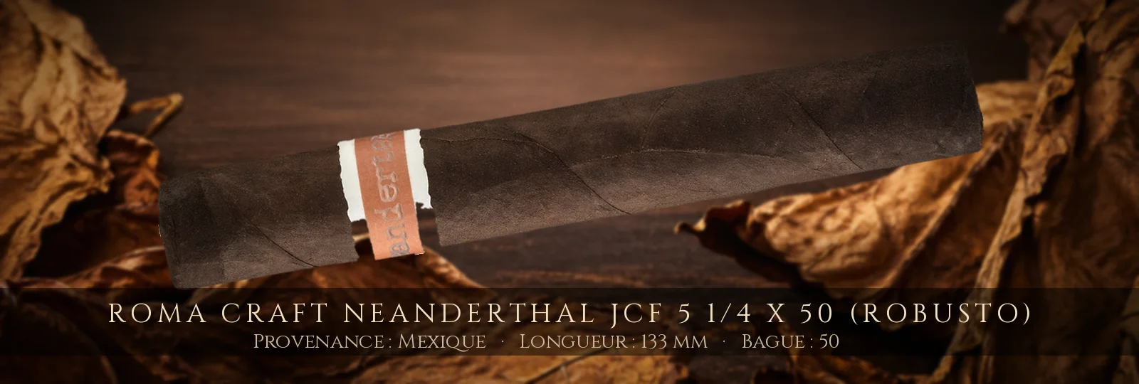 RoMa Craft Neanderthal JCF 5 1/4 x 50 (Robusto) — RoMa Craft — Mexique