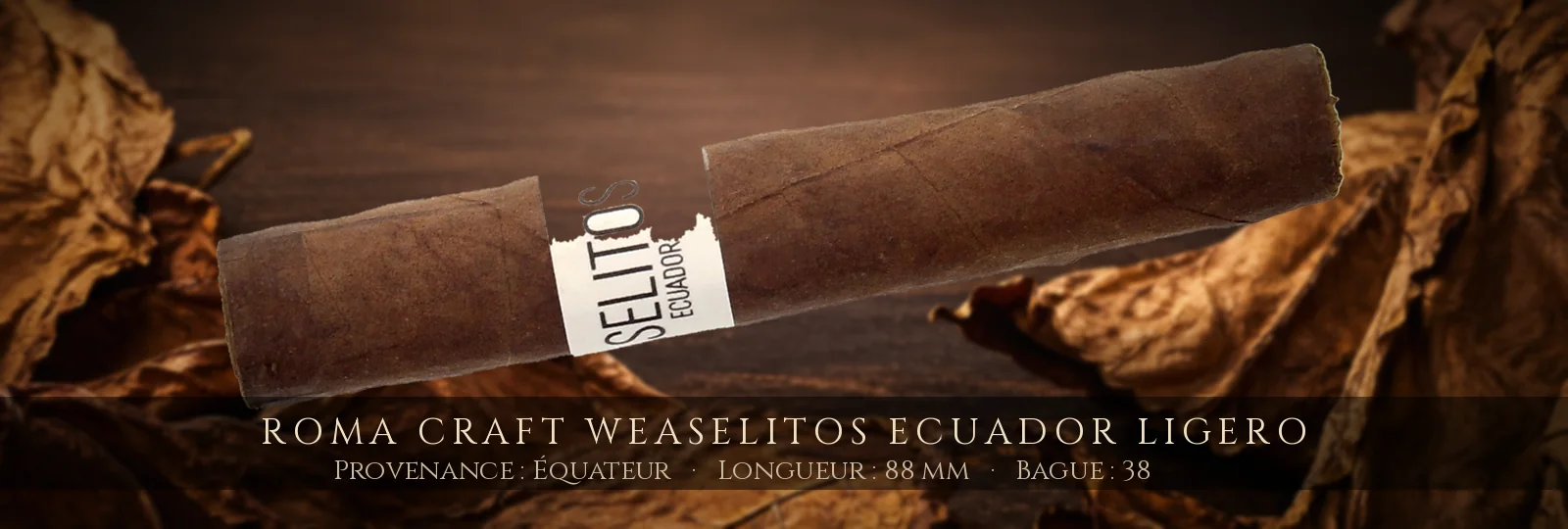 RoMa Craft Weaselitos Ecuador Ligero — RoMa Craft — Équateur