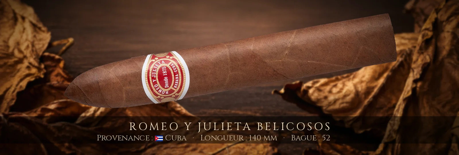 Romeo y Julieta Belicosos