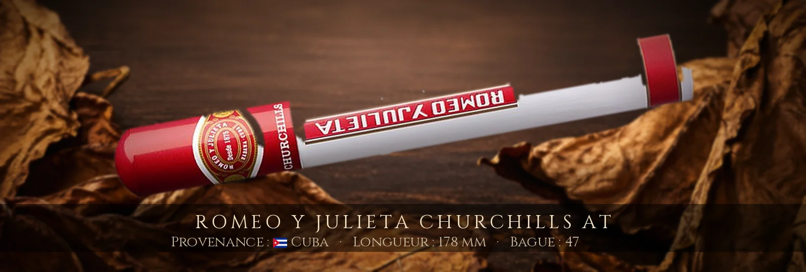 Romeo y Julieta Churchills AT