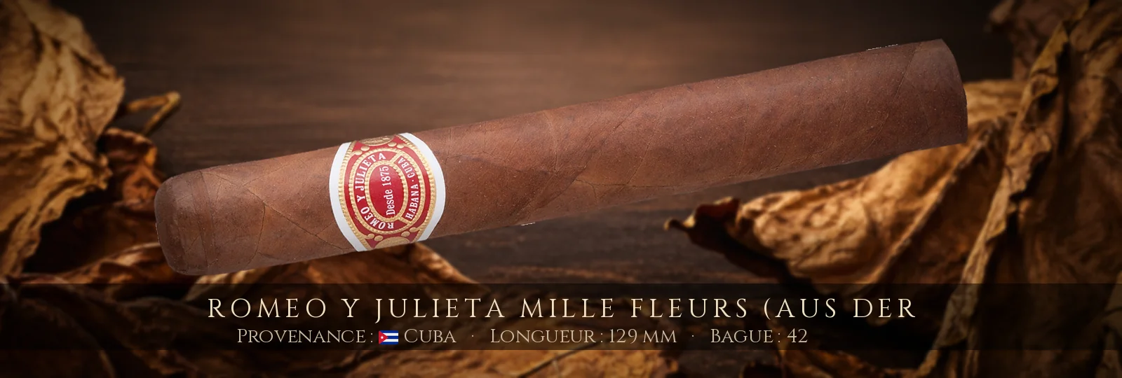 Romeo y Julieta Mille Fleurs (aus der — Romeo y Julieta — Cuba