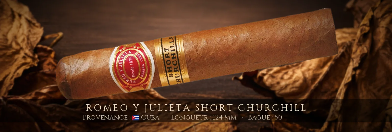 Romeo y Julieta Short Churchill