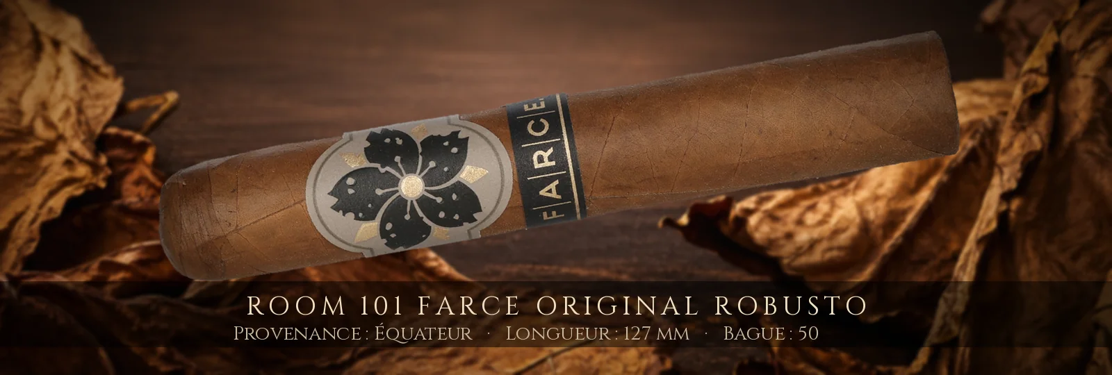 Room 101 Farce Original Robusto — Room 101 — Équateur