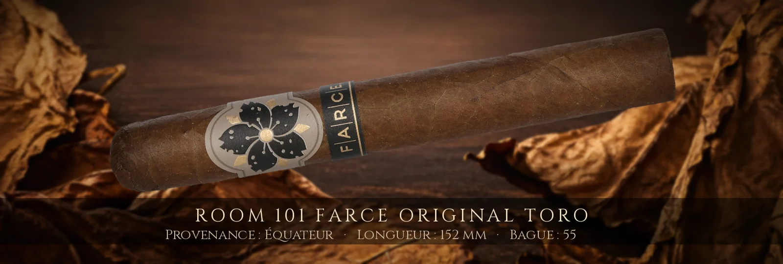 Room 101 Farce Original Toro — Room 101 — Équateur