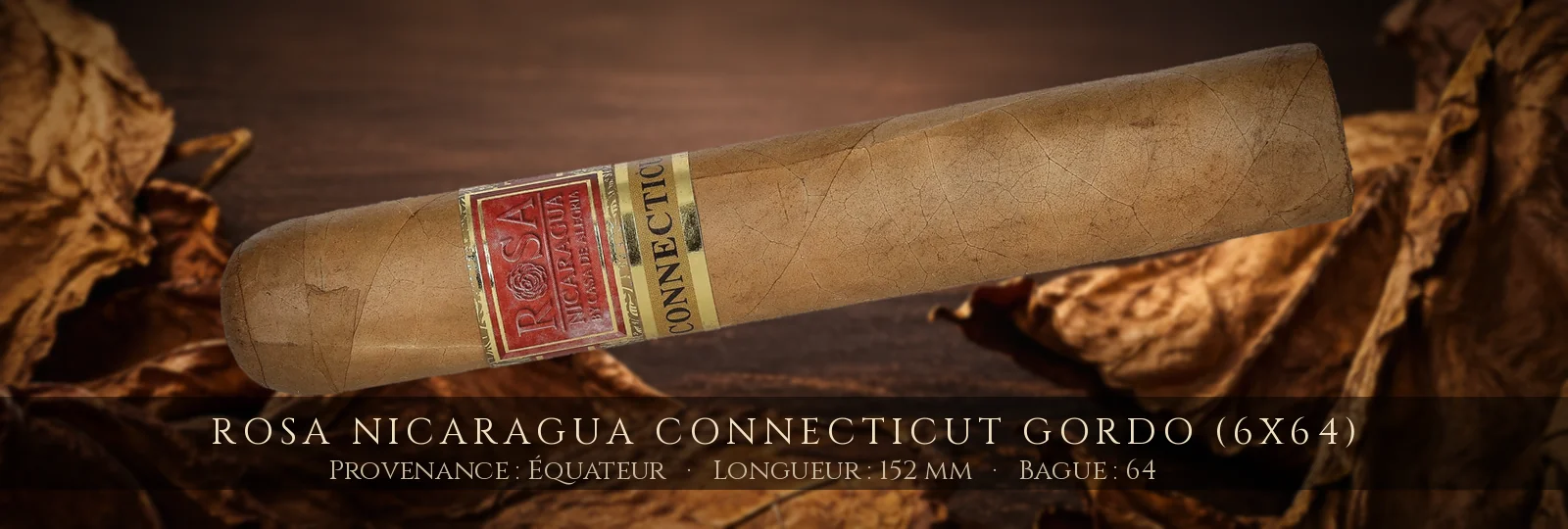 Rosa Nicaragua Connecticut Gordo (6x64) — Rosa Nicaragua — Équateur
