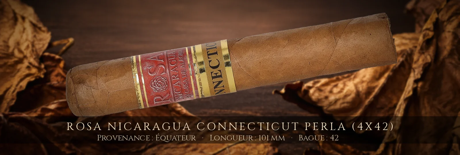 Rosa Nicaragua Connecticut Perla (4x42) — Rosa Nicaragua — Équateur