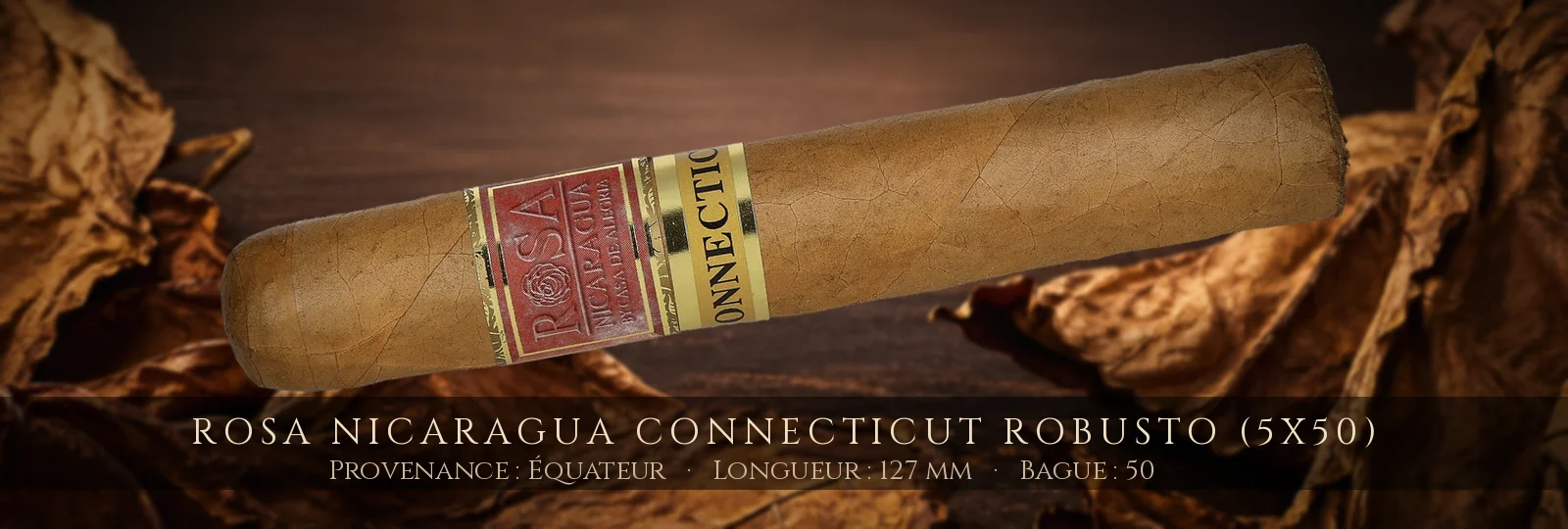 Rosa Nicaragua Connecticut Robusto (5x50) — Rosa Nicaragua — Équateur