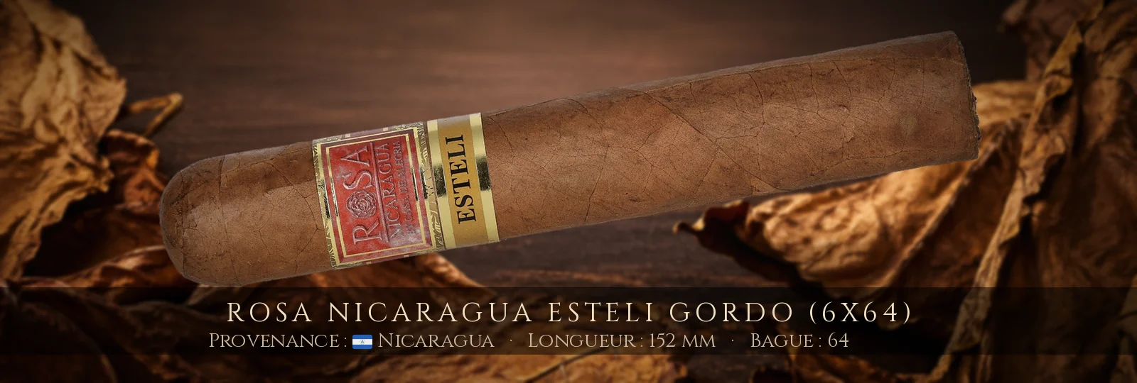 Rosa Nicaragua Esteli Gordo (6x64) — Rosa Nicaragua — Nicaragua