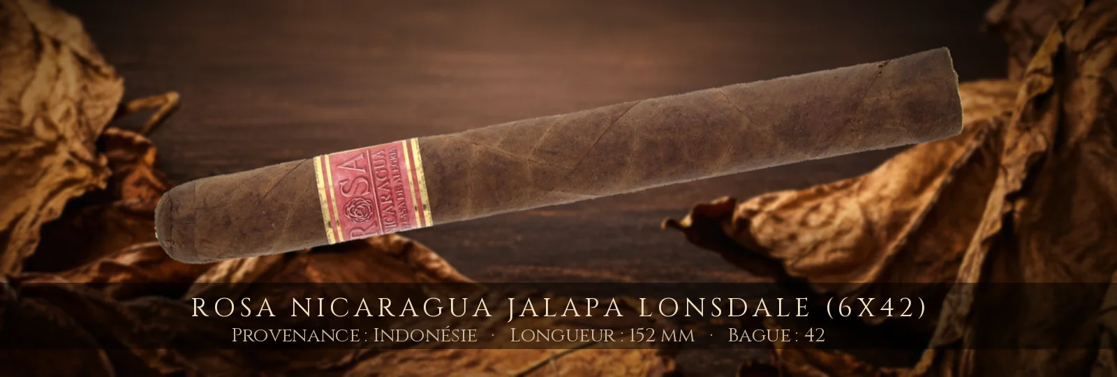 Rosa Nicaragua Jalapa Lonsdale (6x42) — Rosa Nicaragua — Indonésie