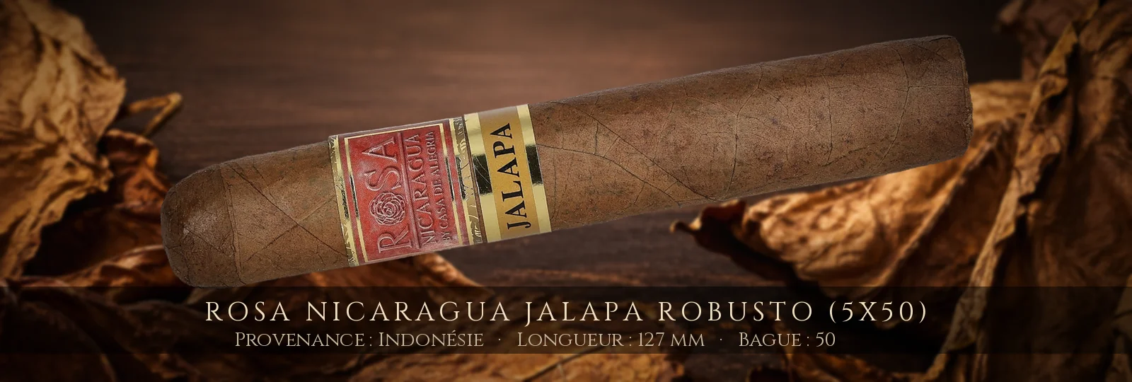 Rosa Nicaragua Jalapa Robusto (5x50) — Rosa Nicaragua — Indonésie