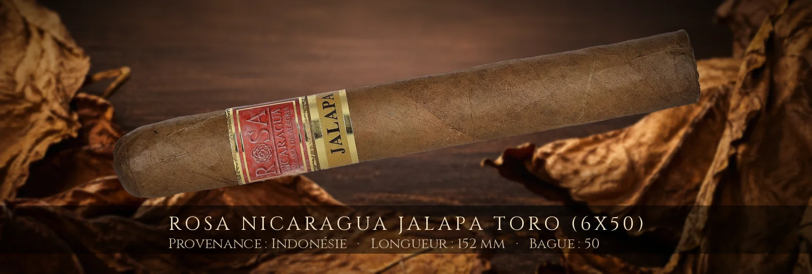 Rosa Nicaragua Jalapa Toro (6x50) — Rosa Nicaragua — Indonésie