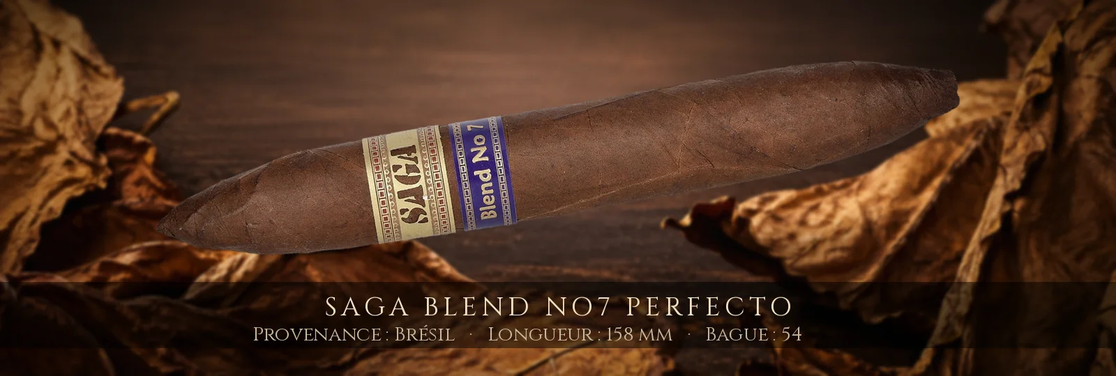 Saga Blend No7 Perfecto — Saga — Brésil