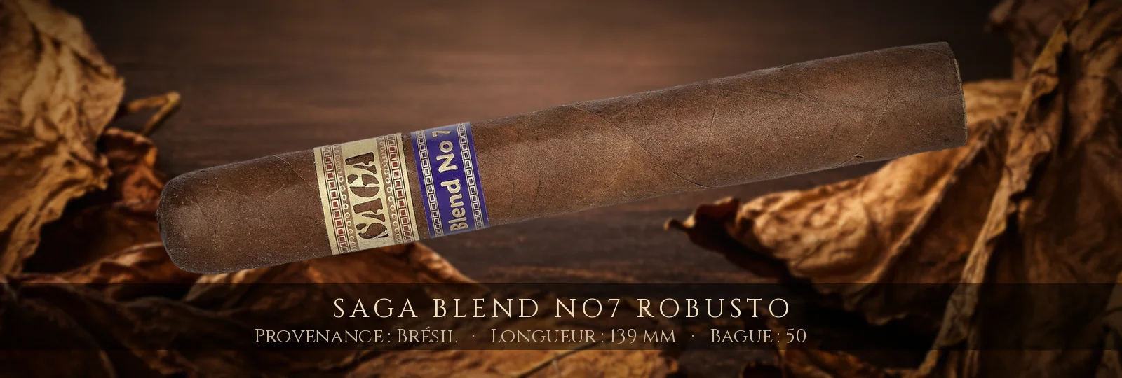 Saga Blend No7 Robusto — Saga — Brésil