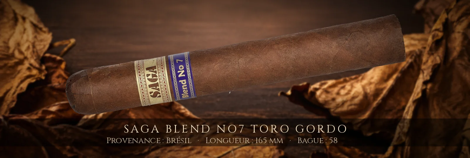Saga Blend No7 Toro Gordo
