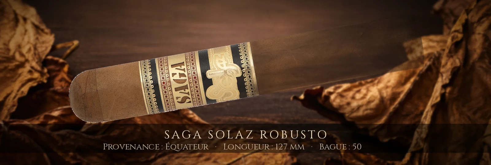 Saga Solaz Robusto — Saga — Équateur