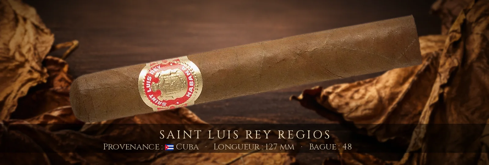 Saint Luis Rey Regios — Saint Luis Rey — Cuba