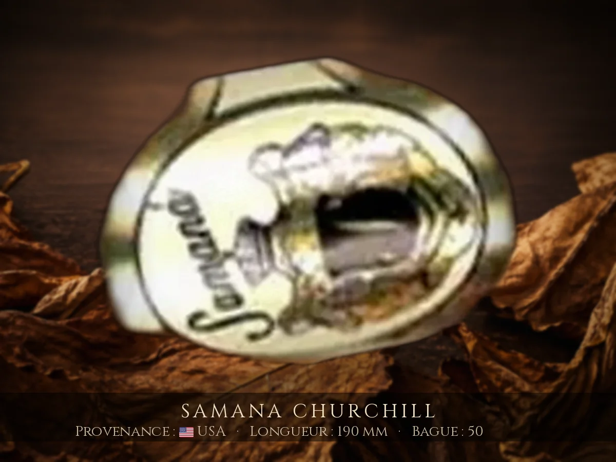 Samana Churchill — Samana — USA
