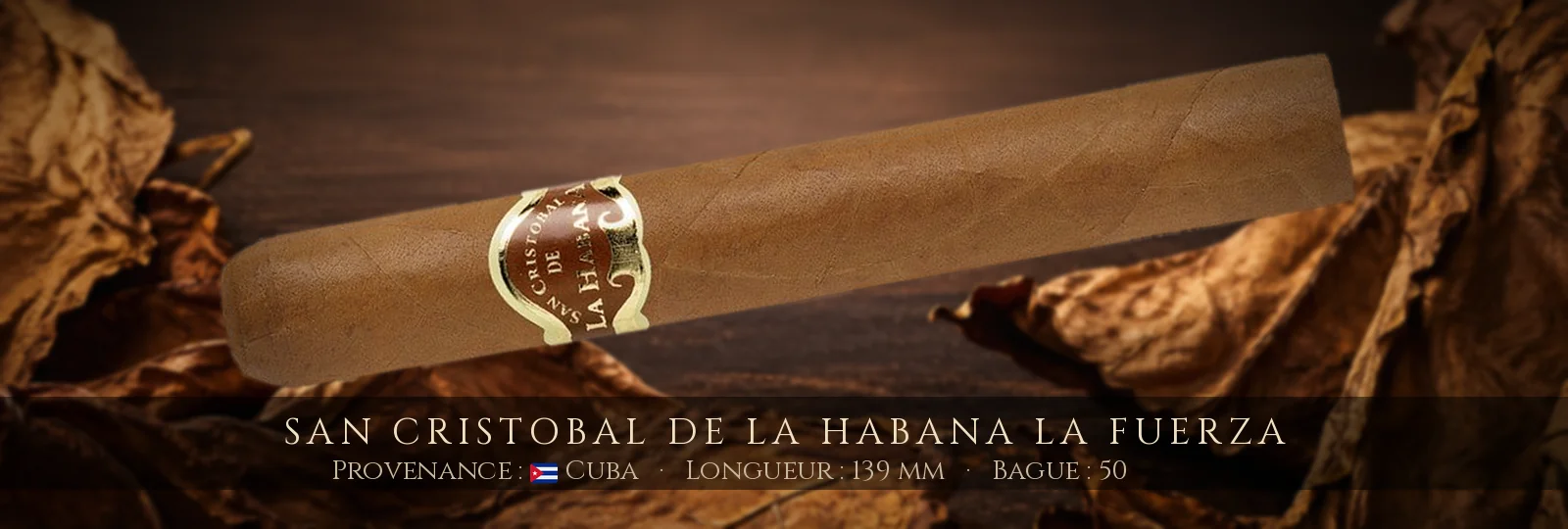 San Cristobal de La Habana La Fuerza — San Cristobal de La Habana — Cuba