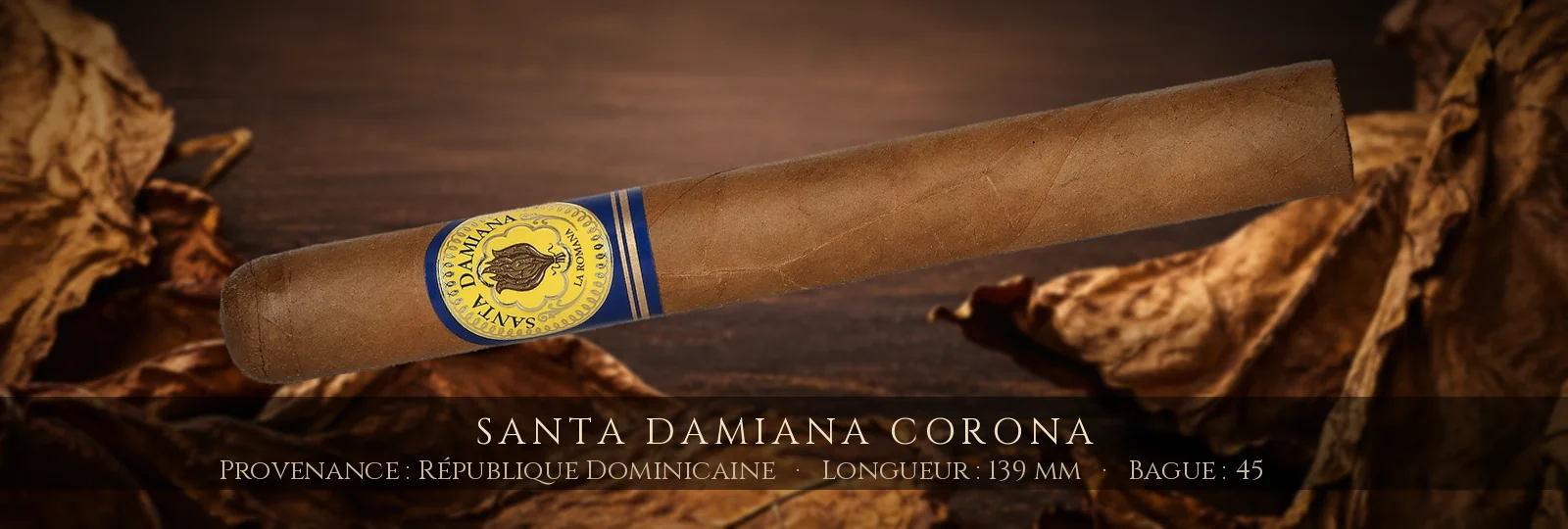 Santa Damiana Corona