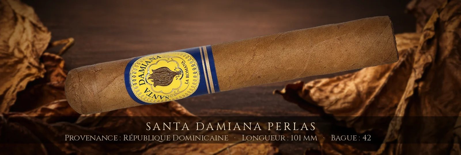 Santa Damiana Perlas