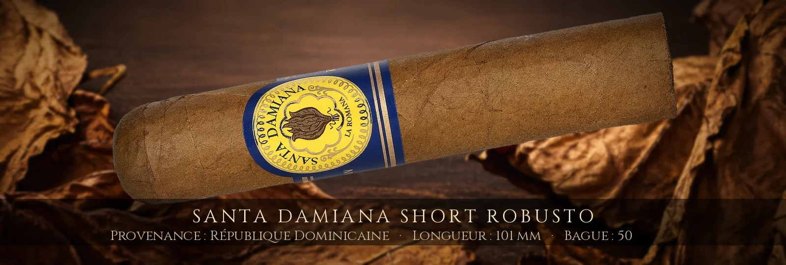 Santa Damiana Short Robusto — Santa Damiana — République Dominicaine
