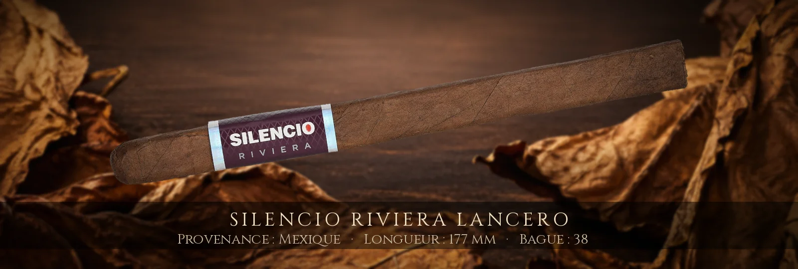 Silencio Riviera Lancero — Silencio — Mexique