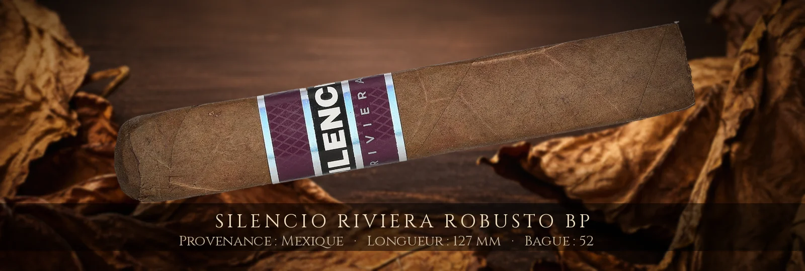 Silencio Riviera Robusto BP — Silencio — Mexique