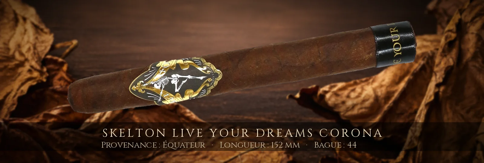 Skelton Live Your Dreams Corona