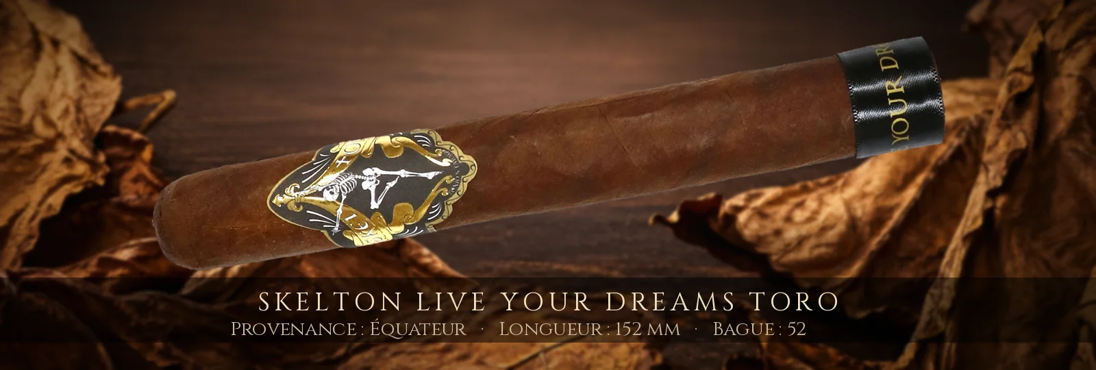 Skelton Live Your Dreams Toro