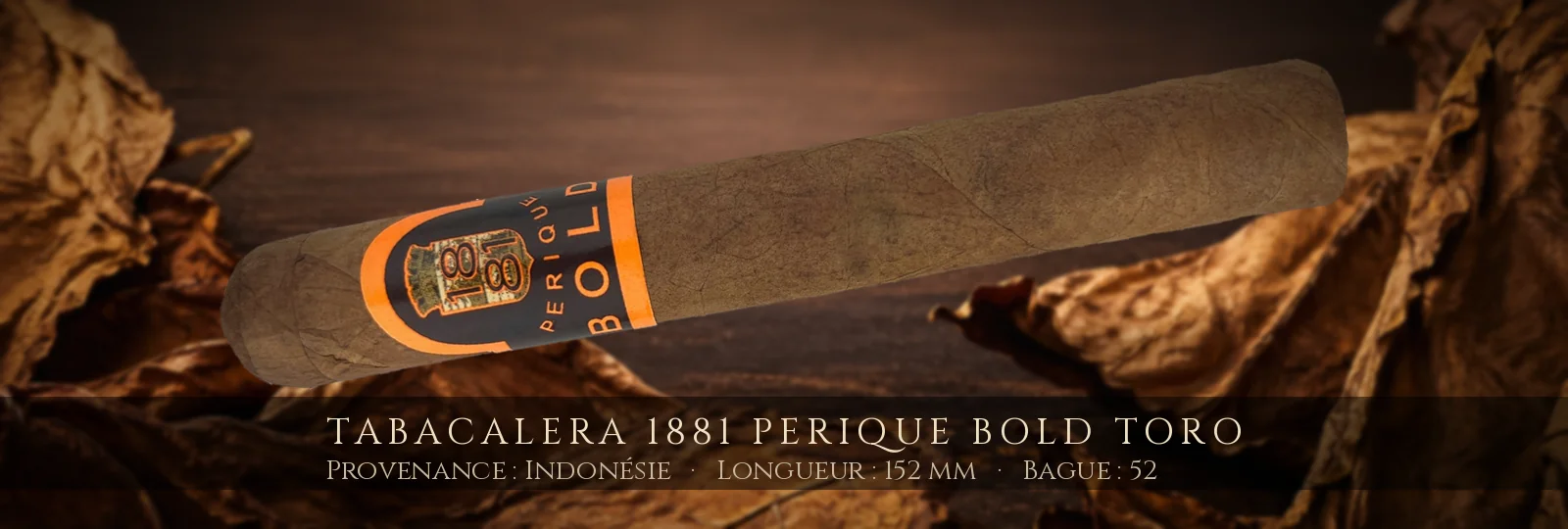 Tabacalera 1881 Perique Bold Toro — Tabacalera — Indonésie