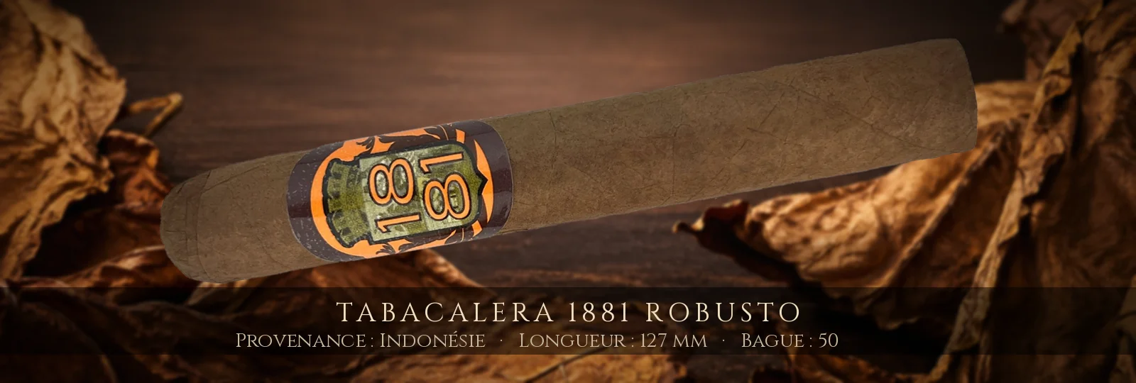 Tabacalera 1881 Robusto — Tabacalera — Indonésie