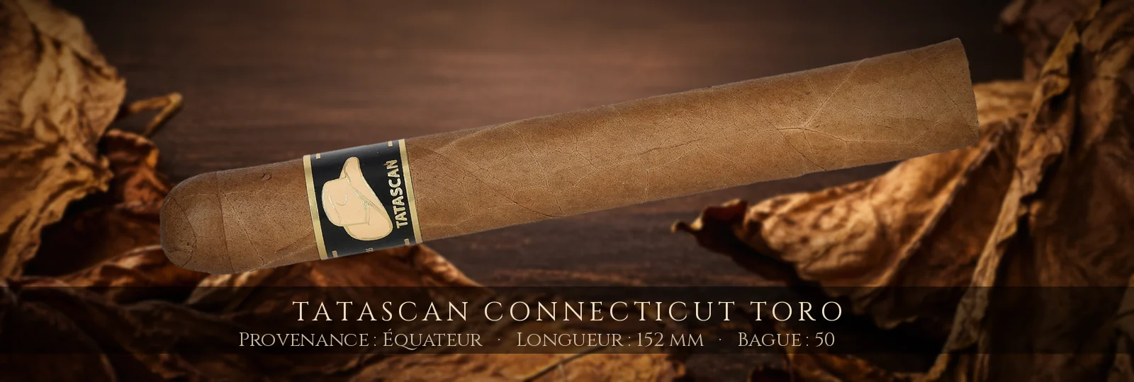 Tatascan Connecticut Toro — Tatascan — Équateur