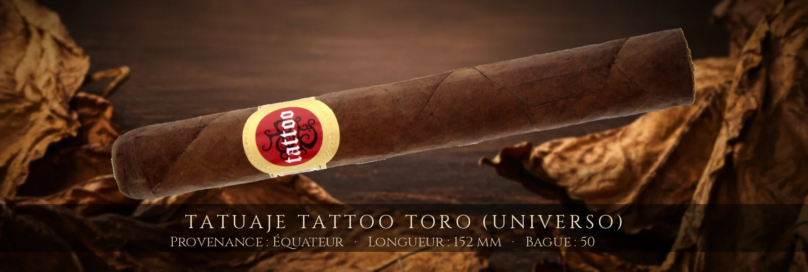 Tatuaje Tattoo Toro (Universo) — Tatuaje — Équateur