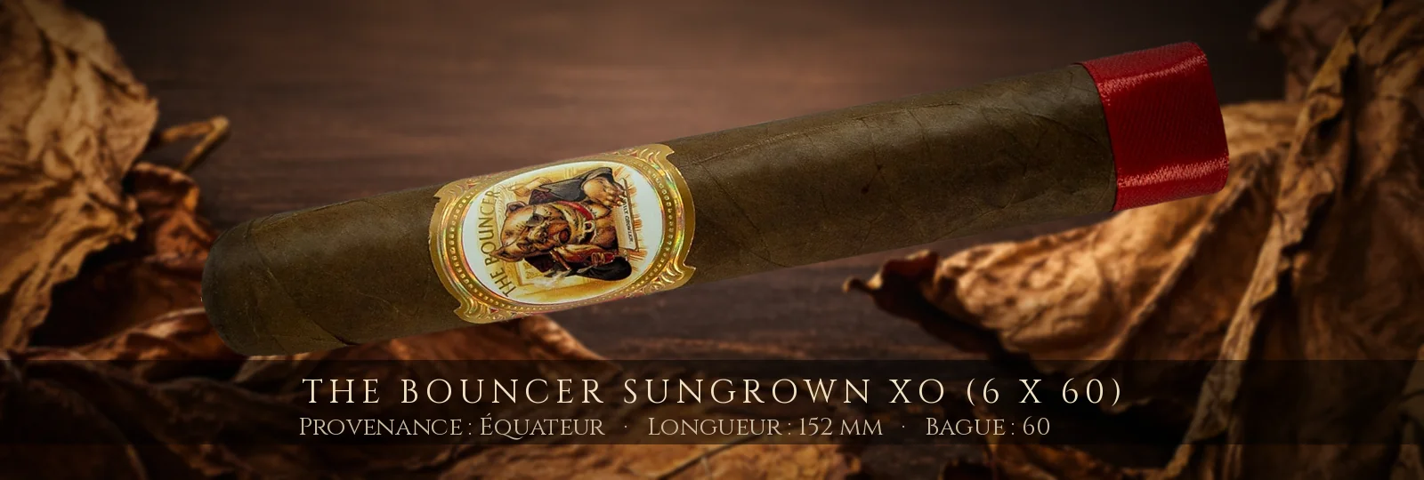 The Bouncer Sungrown XO (6 x 60) — The Bouncer — Équateur