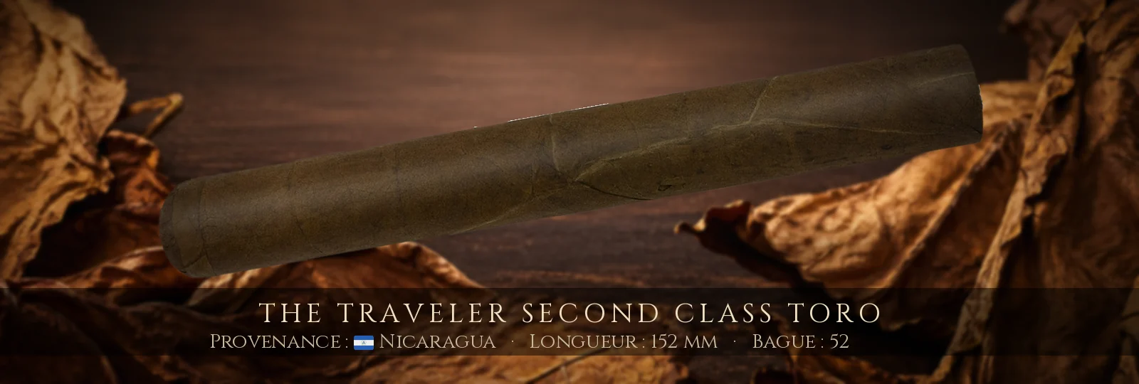 The Traveler Second Class Toro — The Traveler — Nicaragua