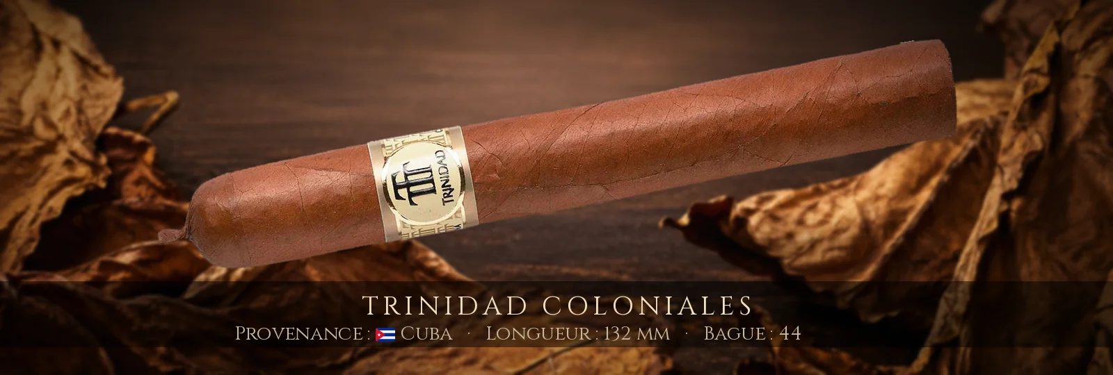Trinidad Coloniales