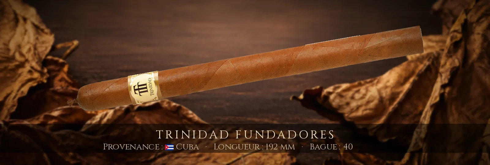 Trinidad Fundadores
