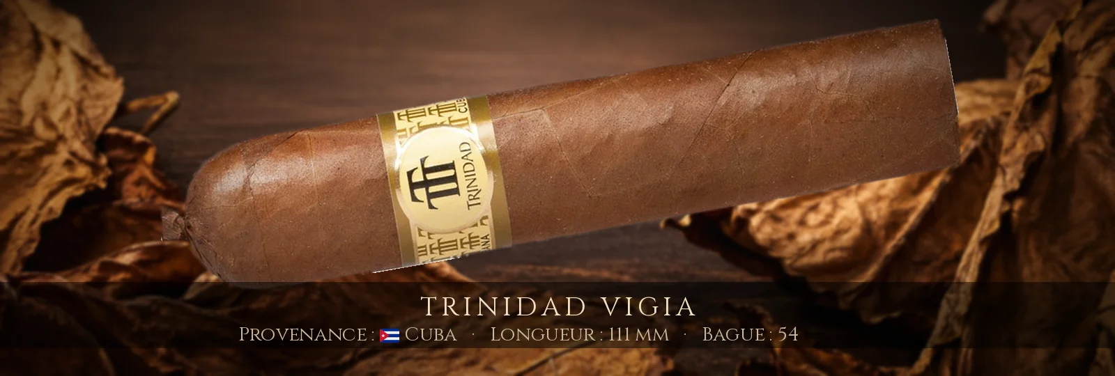 Trinidad Vigia