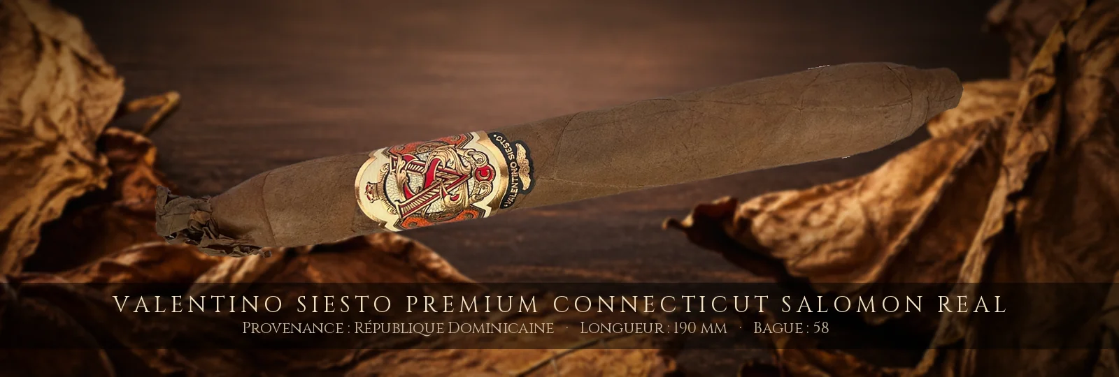 Valentino Siesto Premium Connecticut Salomon Real — Valentino Siesto — République Dominicaine