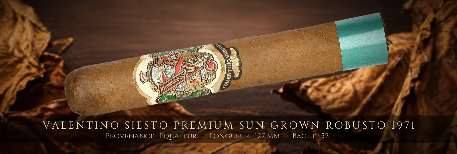 Valentino Siesto Premium Sun Grown Robusto 1971 — Valentino Siesto — Équateur