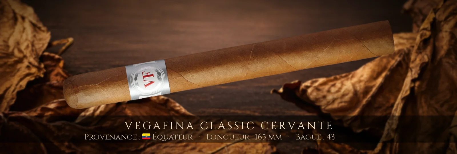 VegaFina Classic Cervante — VegaFina — Équateur
