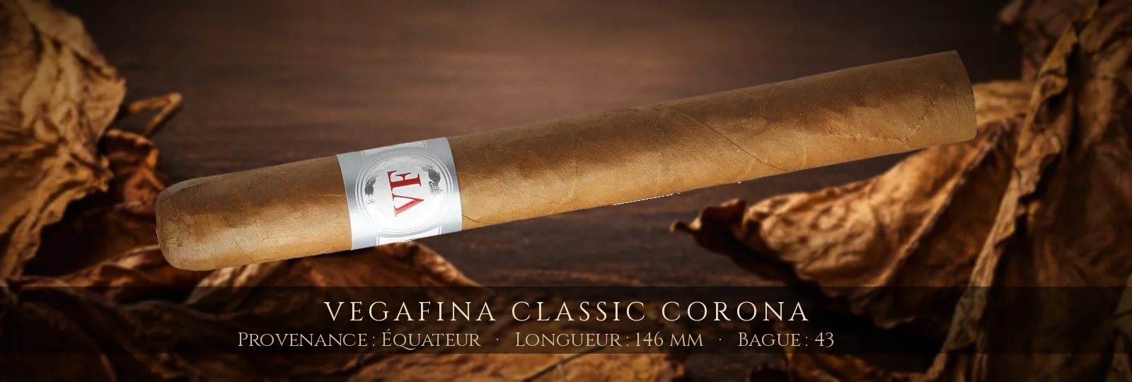 VegaFina Classic Corona — VegaFina — Équateur
