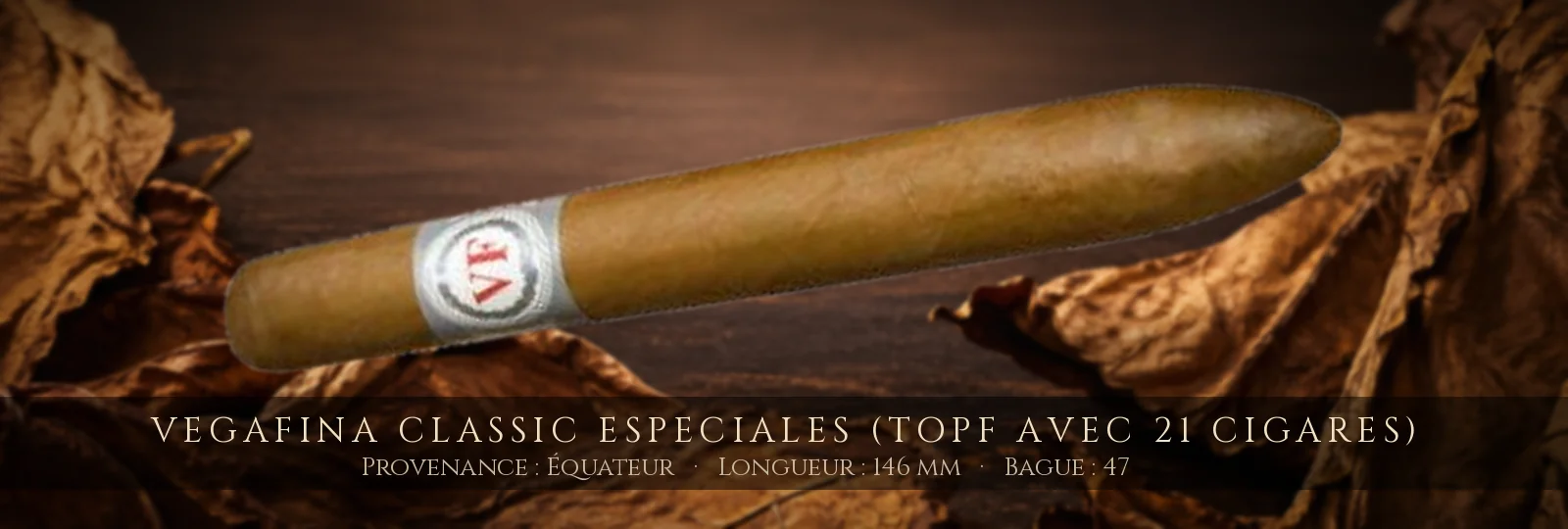 VegaFina Classic Especiales (Topf avec 21 cigares) — VegaFina — Équateur