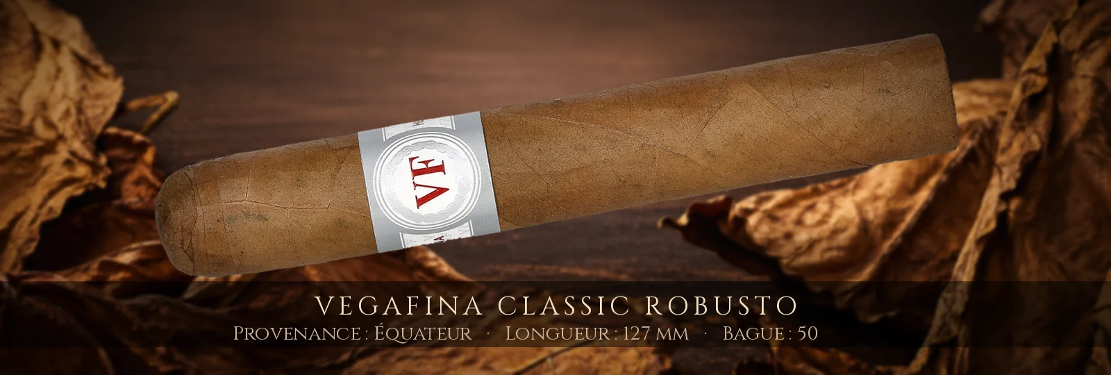 VegaFina Classic Robusto — VegaFina — Équateur