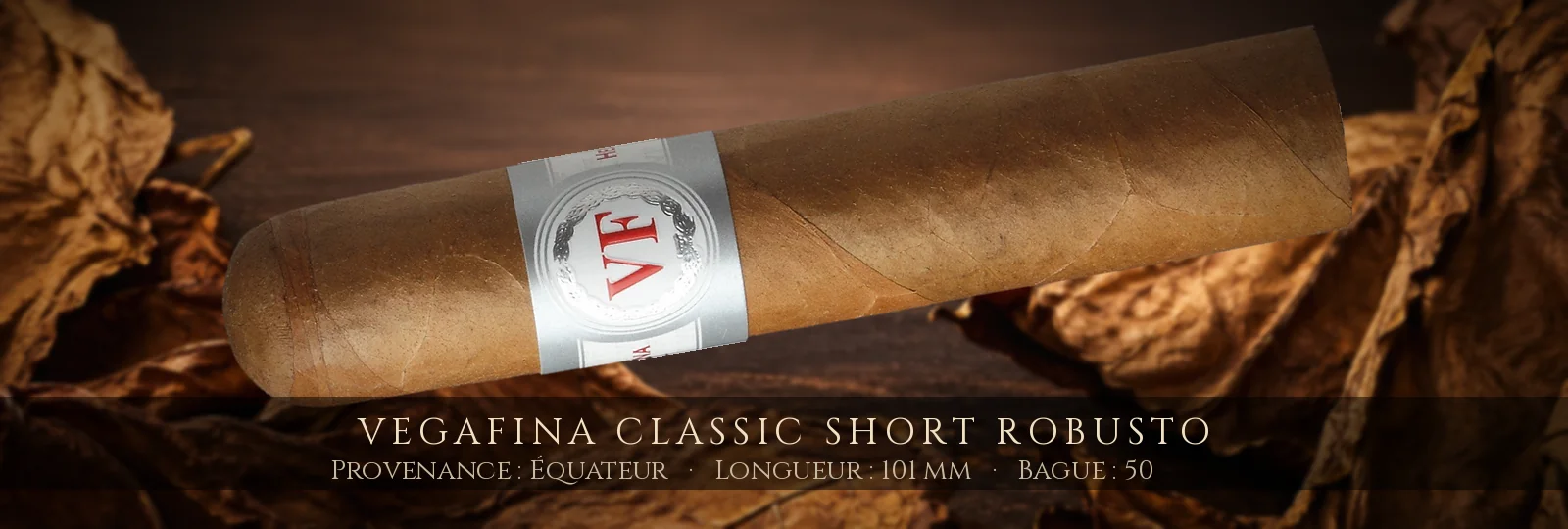 VegaFina Classic Short Robusto — VegaFina — Équateur